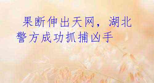 果断伸出天网,湖北警方成功抓捕凶手