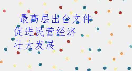 最高层出台文件 促进民营经济 壮大发展