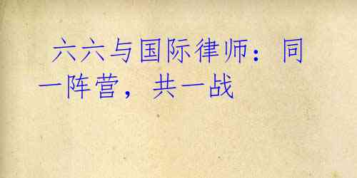 六六与国际律师:同一阵营,共一战