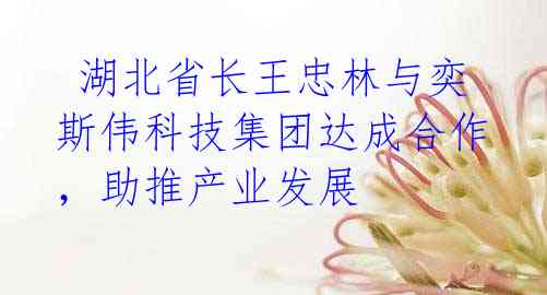 湖北省长王忠林与奕斯伟科技集团达成合作,助推产业发展
