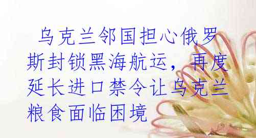 乌克兰邻国担心俄罗斯封锁黑海航运,再度延长进口禁令让乌克兰粮食面临困境