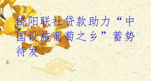 饶阳联社贷款助力“中国设施葡萄之乡”蓄势待发