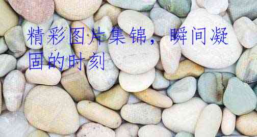 精彩图片集锦,瞬间凝固的时刻