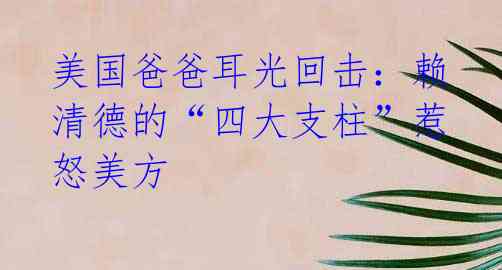 美国爸爸耳光回击：赖清德的“四大支柱”惹怒美方 
