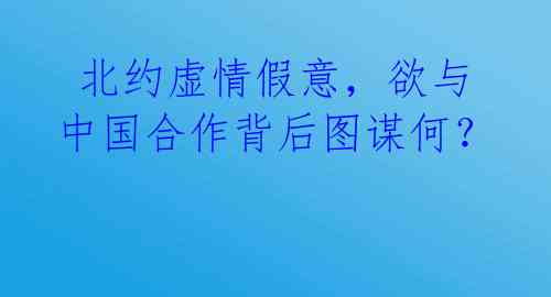 北约虚情假意,欲与中国合作背后图谋何?