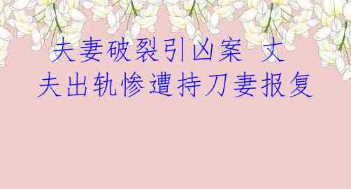 夫妻破裂引凶案 丈夫出轨惨遭持刀妻报复