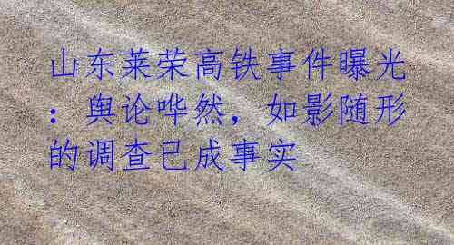 山东莱荣高铁事件曝光:舆论哗然,如影随形的调查已成事实