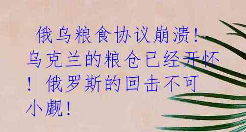 俄乌粮食协议崩溃! 乌克兰的粮仓已经开怀! 俄罗斯的回击不可小觑!