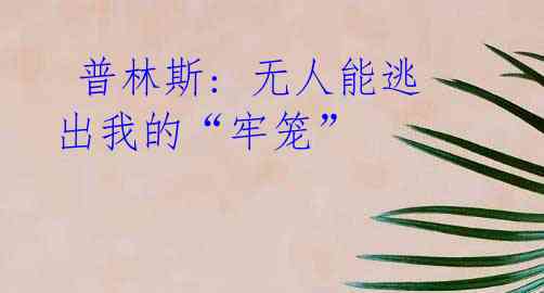 普林斯: 无人能逃出我的“牢笼”