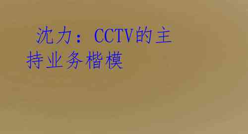 沈力:CCTV的主持业务楷模