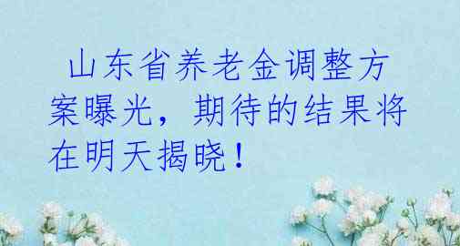  山东省养老金调整方案曝光，期待的结果将在明天揭晓！ 