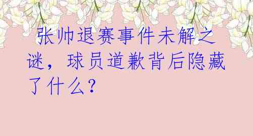 张帅退赛事件未解之谜,球员道歉背后隐藏了什么?