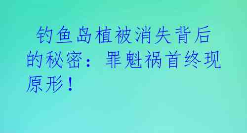  钓鱼岛植被消失背后的秘密：罪魁祸首终现原形！ 