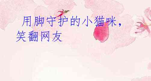用脚守护的小猫咪,笑翻网友