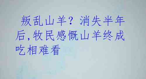 叛乱山羊?消失半年后,牧民感慨山羊终成吃相难看