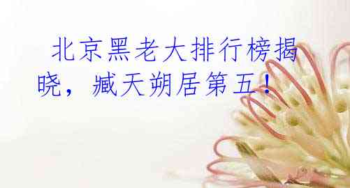 北京黑老大排行榜揭晓,臧天朔居第五!
