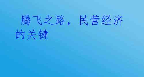 腾飞之路,民营经济的关键