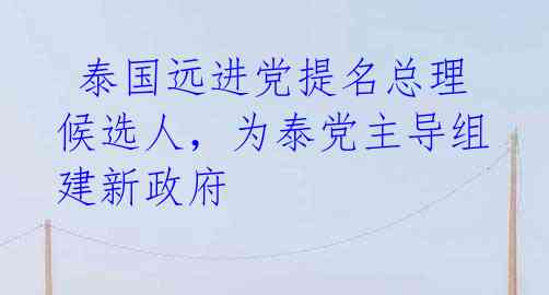  泰国远进党提名总理候选人，为泰党主导组建新政府 