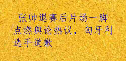 张帅退赛后片场一脚点燃舆论热议,匈牙利选手道歉