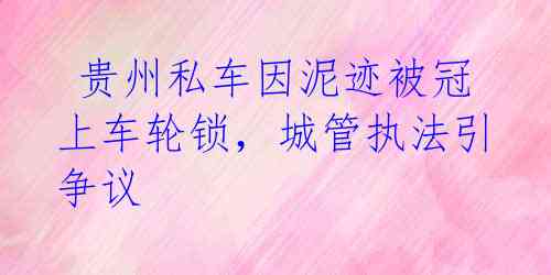 贵州私车因泥迹被冠上车轮锁,城管执法引争议