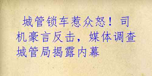  城管锁车惹众怒！司机豪言反击，媒体调查城管局揭露内幕 