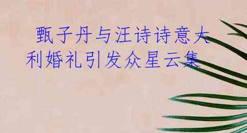 甄子丹与汪诗诗意大利婚礼引发众星云集