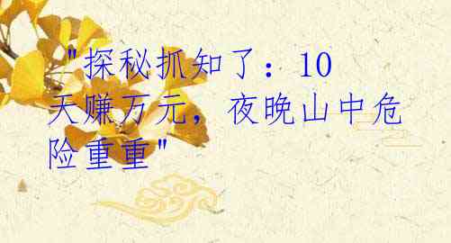 "探秘抓知了:10天赚万元,夜晚山中危险重重"