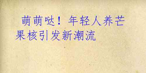 萌萌哒!年轻人养芒果核引发新潮流