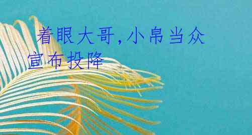 着眼大哥,小帛当众宣布投降