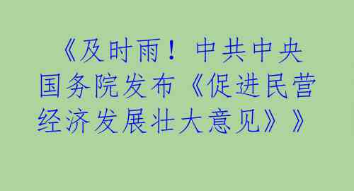  《及时雨！中共中央国务院发布《促进民营经济发展壮大意见》》 