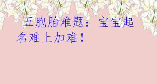 五胞胎难题:宝宝起名难上加难!