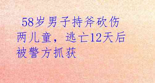  58岁男子持斧砍伤两儿童，逃亡12天后被警方抓获 