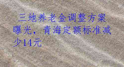三地养老金调整方案曝光,青海定额标准减少14元