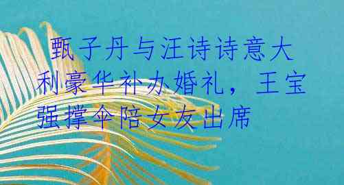 甄子丹与汪诗诗意大利豪华补办婚礼,王宝强撑伞陪女友出席
