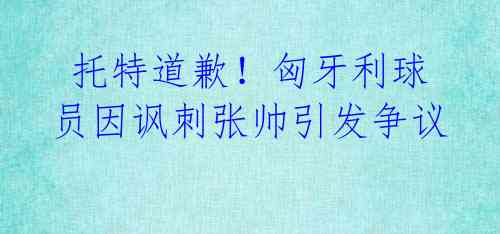托特道歉!匈牙利球员因讽刺张帅引发争议