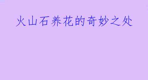 火山石养花的奇妙之处