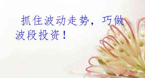 抓住波动走势,巧做波段投资!