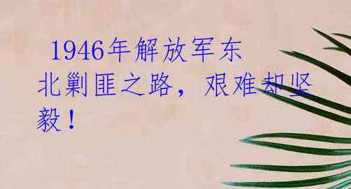 1946年解放军东北剿匪之路,艰难却坚毅!