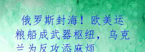 俄罗斯封海!欧美运粮船成武器枢纽,乌克兰为反攻添麻烦