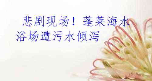 悲剧现场!蓬莱海水浴场遭污水倾泻