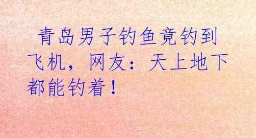 青岛男子钓鱼竟钓到飞机,网友:天上地下都能钓着!