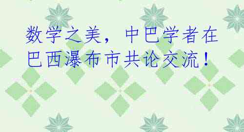 数学之美，中巴学者在巴西瀑布市共论交流！