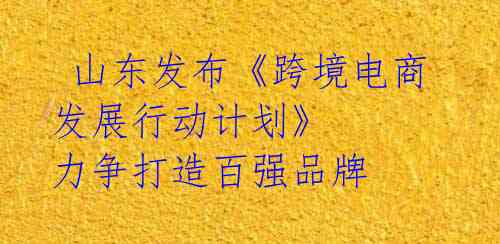 山东发布《跨境电商发展行动计划》 力争打造百强品牌