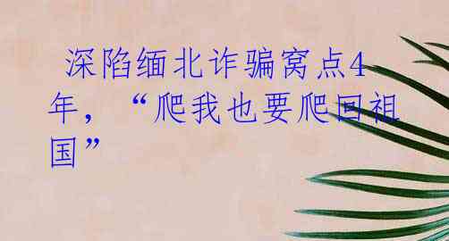  深陷缅北诈骗窝点4年，“爬我也要爬回祖国” 