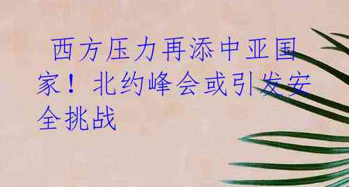 西方压力再添中亚国家!北约峰会或引发安全挑战