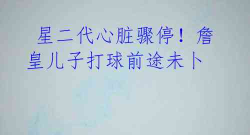 星二代心脏骤停!詹皇儿子打球前途未卜