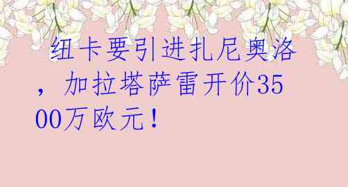 纽卡要引进扎尼奥洛,加拉塔萨雷开价3500万欧元!