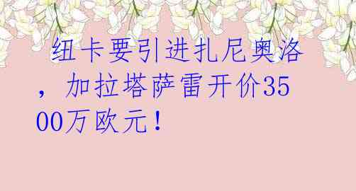  纽卡要引进扎尼奥洛，加拉塔萨雷开价3500万欧元！ 