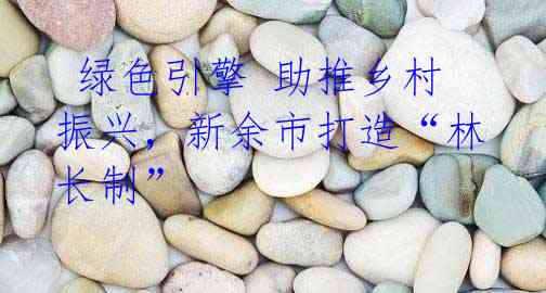绿色引擎 助推乡村振兴,新余市打造“林长制”