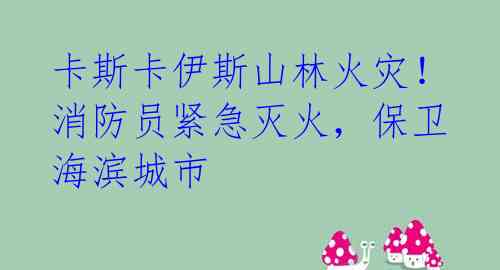 卡斯卡伊斯山林火灾!消防员紧急灭火,保卫海滨城市
